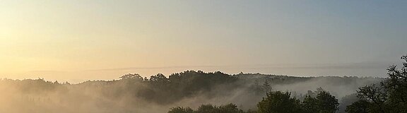 Headerbild