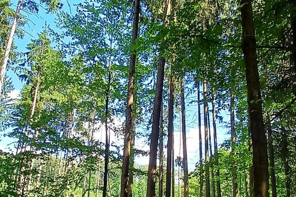 IMG-20260618-WA0010.jpg