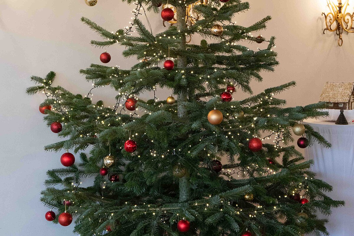 Weihnachtsfeier-10.jpg
